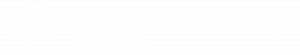 Neuroleadership